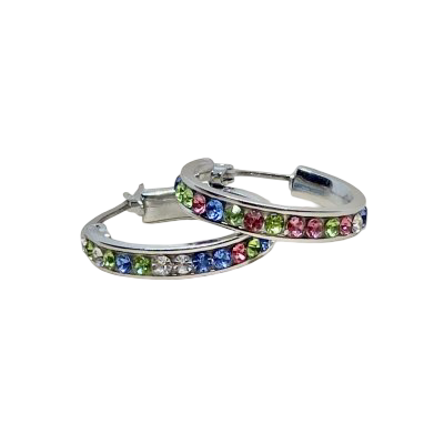 Pastel Circle Big- Örhänge